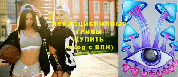 первитин Алексин
